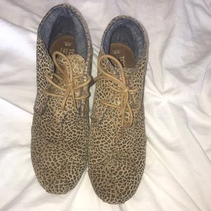 Leopard Print Toms Wedge